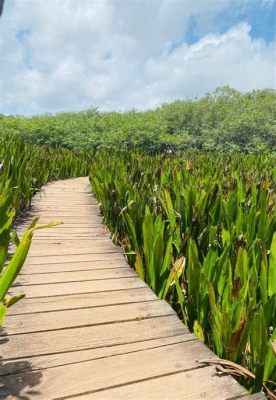  Das Hegang Wetland-Park: Ein wahrer Schatz der Natur und ein Paradies für Vogelbeobachter!